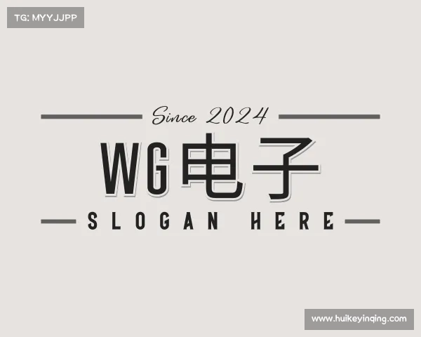 了解WG电子